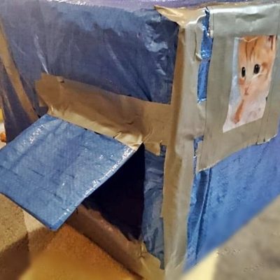 Снимки: Ивайло Ангелов