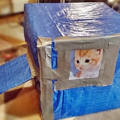 Снимки: Ивайло Ангелов